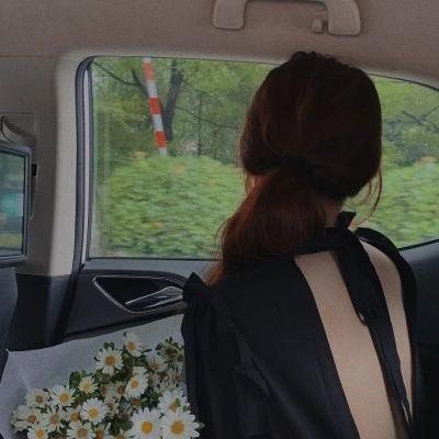 双面艾莉丝